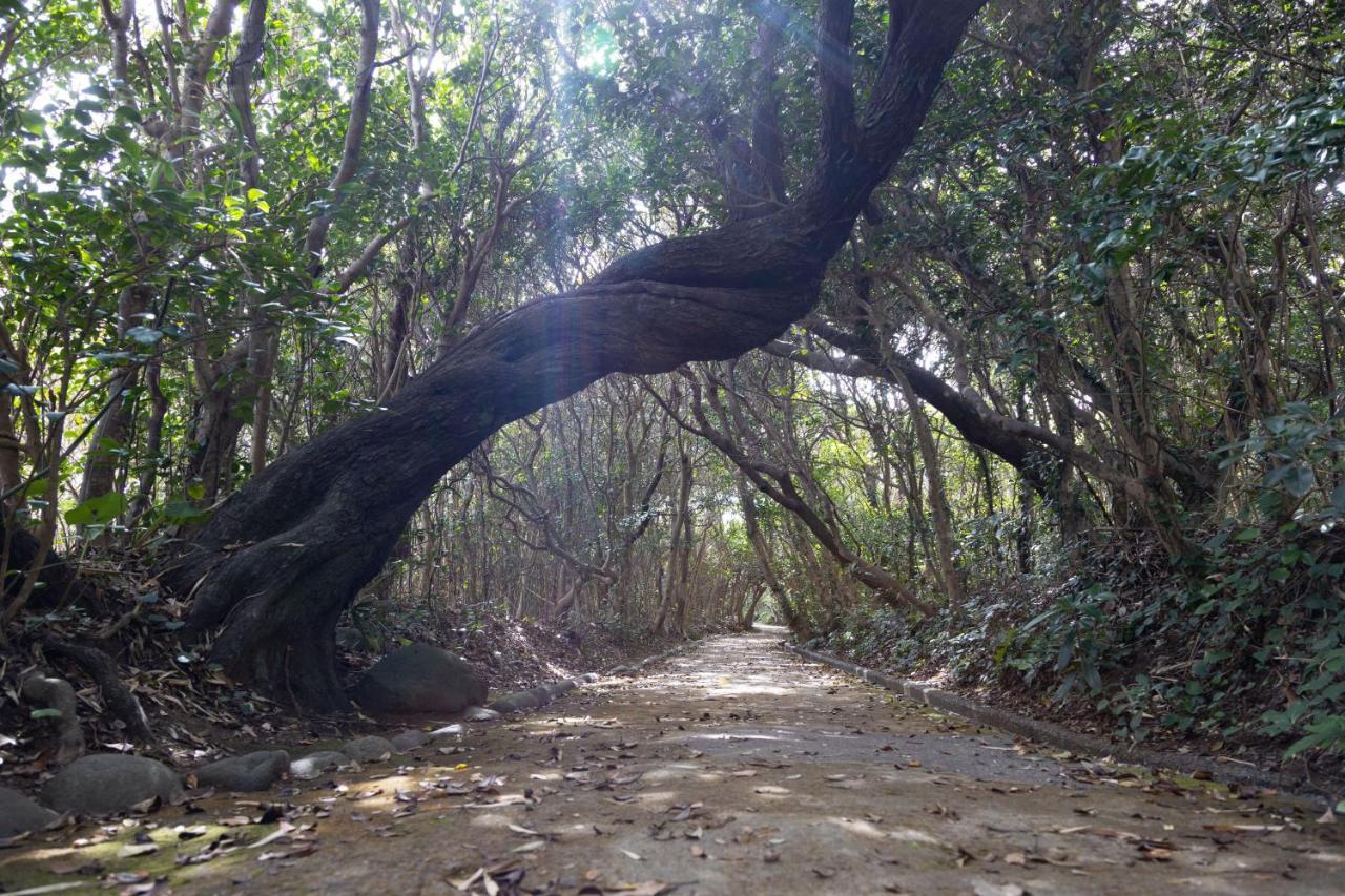 Themana Village Tosashimizu Dış mekan fotoğraf